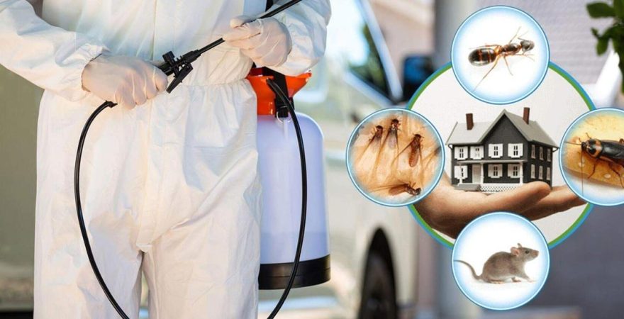 Helvacı Böcek İlaçlama