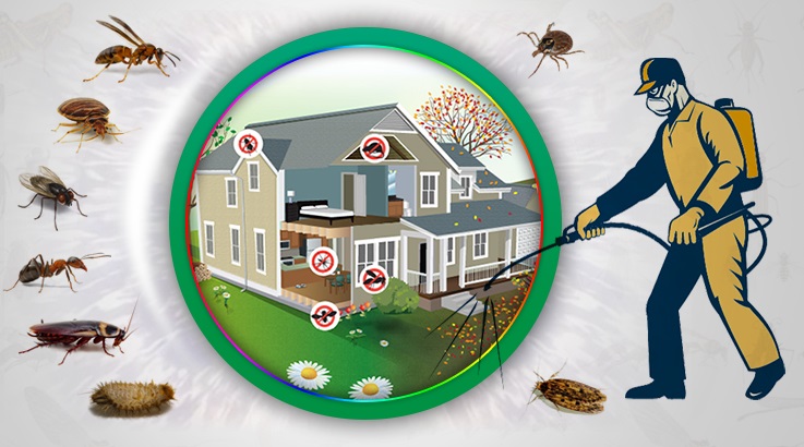 Helvacı Böcek İlaçlama