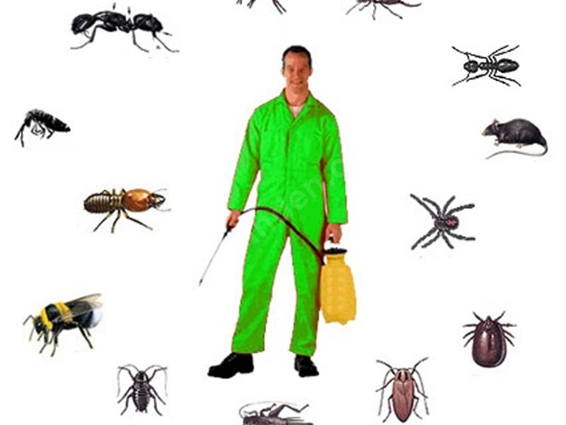 Helvacı Böcek İlaçlama