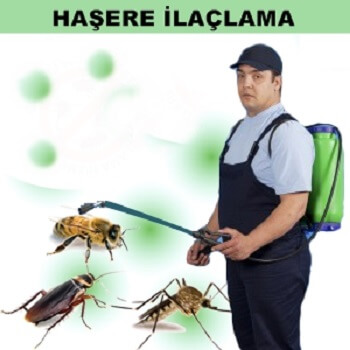 Helvacı Böcek İlaçlama